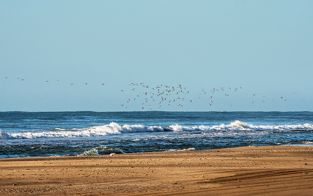 Pasajes a la Costa Atlántica con FlechaBus