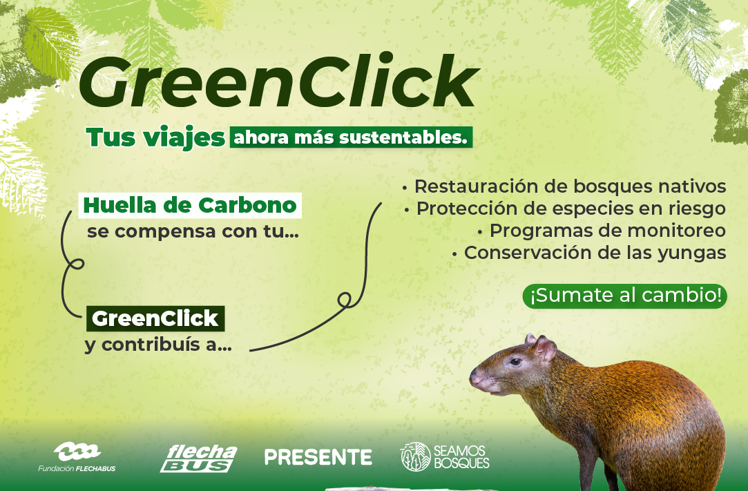 Descripción imagen móvil