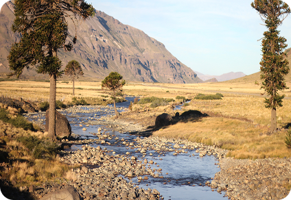 Pasajes a Neuquén desde San Juan